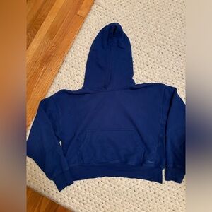 Aritzia Cropped Boyfriend Hoodie